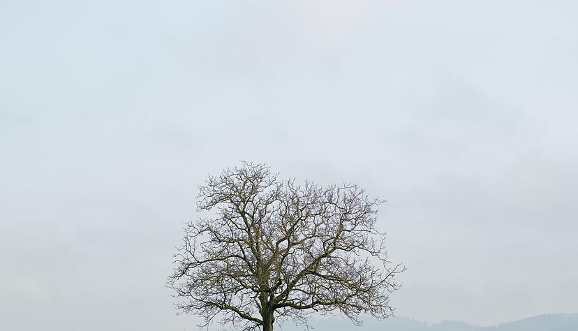 Wolken, tr&uuml;ber Himmel und Regen bestimmen das Wochenendwetter.