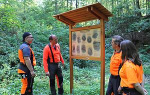 Schauen sich zufrieden ihr Werk an: die Azubis Lisa Krauß und Jonas Stögbauer (von links) mit den Ausbildern Timo Ehle und Andreas Winkler.
Fotos: Sabine Friedrich