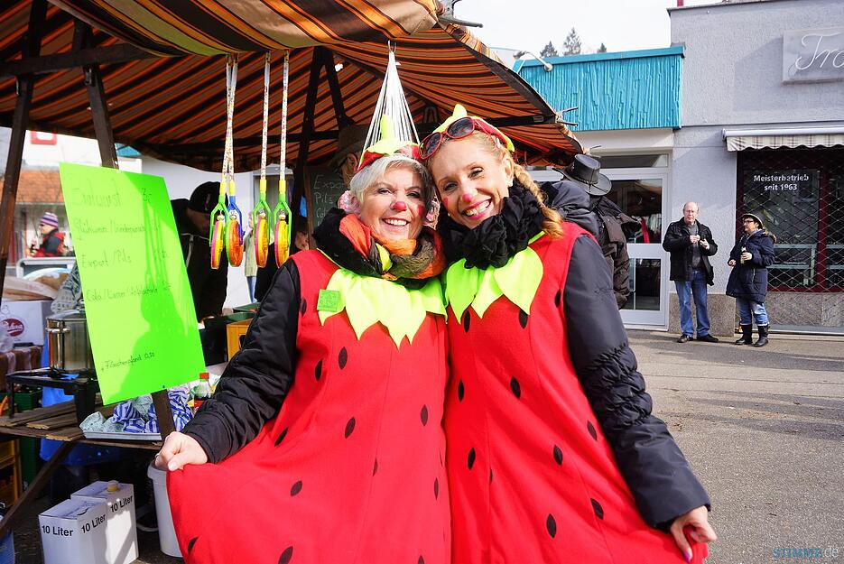 Faschingsumzug Talheim II