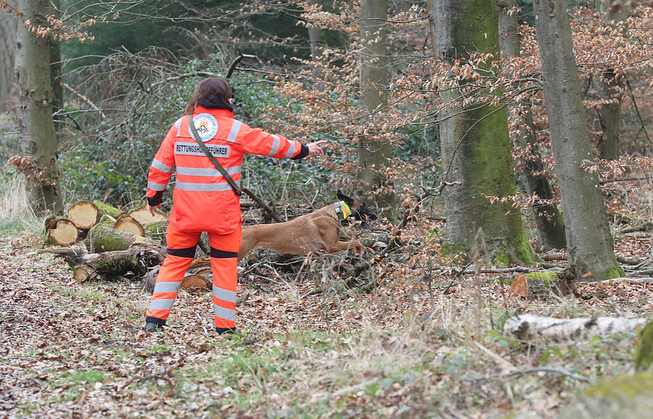 Im Wald m&uuml;ssen die Hunde versteckte Personen aufsp&uuml;ren.