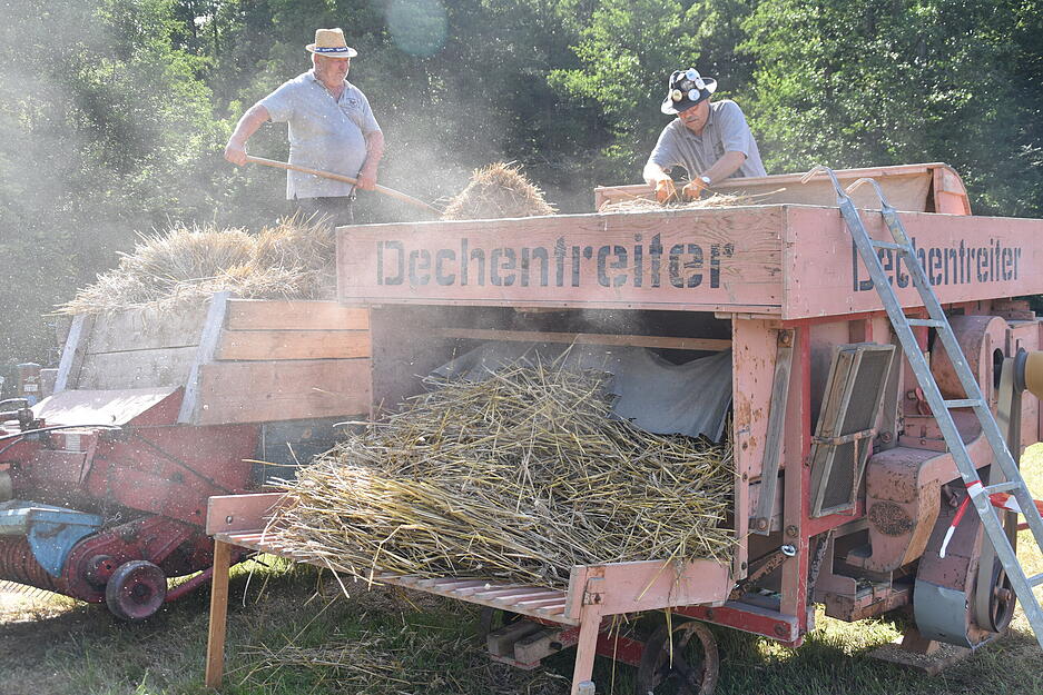 Beim Schleppertreffen der Biberstaler Bergschnauferle sieht man, welche Oldtimer-Schätze noch in den Remisen der Hohenloher Landwirte schlummern. Beim Schleppertreffen der Biberstaler Bergschnauferle sieht man, welche Oldtimer-Schätze noch in den Remisen der Hohenloher Landwirte schlummern.