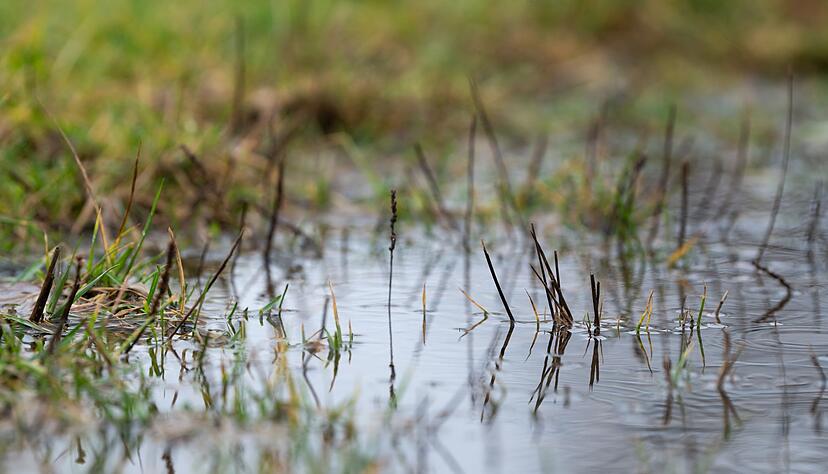 Die Hochwasservorhersagezentrale hat eine Vorwarnung herausgegeben. (Symbolbild)