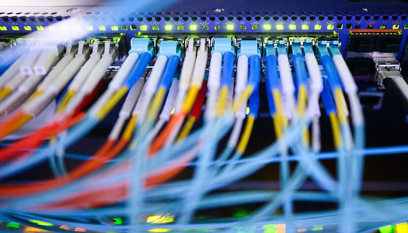 Was w&uuml;rde passieren, wenn von der AfD eingesetzte Beamte auf sicherheitsrelevante Daten zugreifen k&ouml;nnten, fragen sich Innenpolitiker anderer Parteien. (Symbolbild)