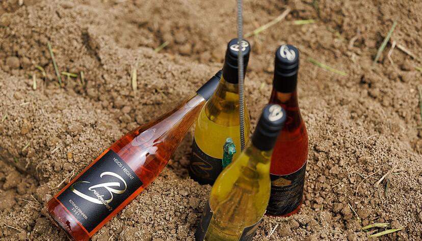 Rote und weiße Weinflaschen vom Weinhof Brinkmann stehen auf einem neu angelegten Weinberg.