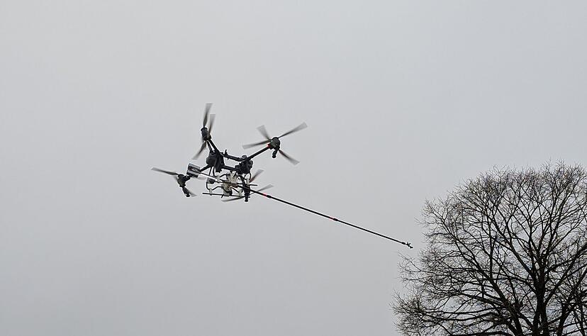 Der Kampf gegen den Kormoran kostet hunderttausende Euro. (Archivbild)