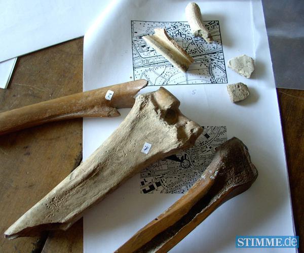 2006 Die Stadtcarr&eacute;-Baustelle, die im Bereich der Talaue des M&uuml;hlbachs liegt, ist auch Fundort f&uuml;r Mittelfu&szlig;-und Schienbeinknochen von Pferd oder Rind. Sie wurden einst im Winter zum Gleiten &uuml;ber das Eis genutzt.