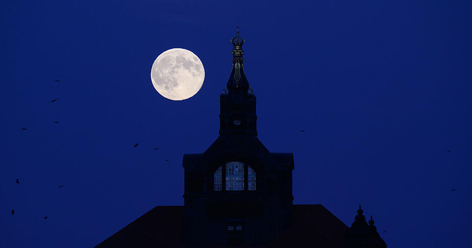 Der Supermond hinter der Staatskanzlei in Dresden. Der Supermond hinter der Staatskanzlei in Dresden.
