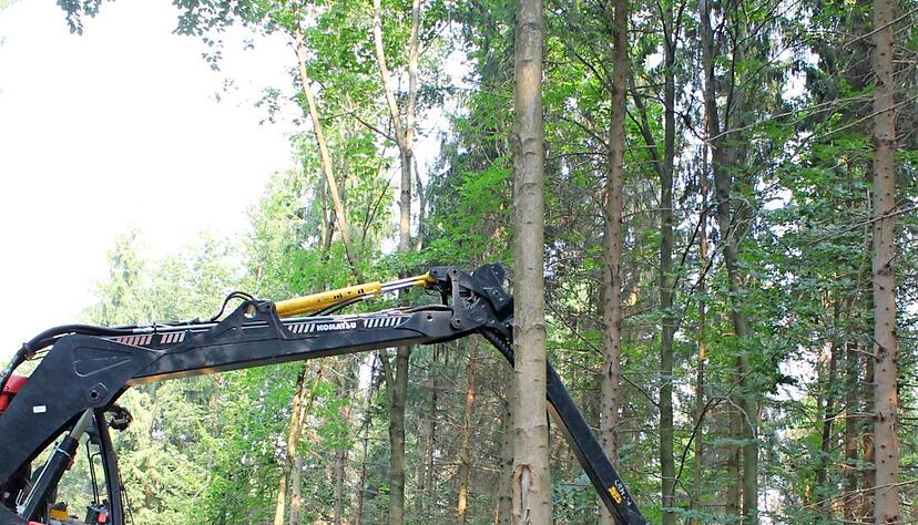 Bis zu zehn Meter kann der Kran ausfahren, um B&auml;ume, die der Vorliefertrupp gef&auml;llt hat, weiter zu bearbeiten.