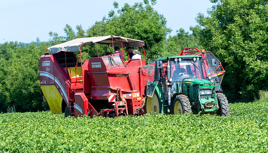 Die Sonne scheint kr&auml;ftig vom Himmel, als in Lauffen die ersten Fr&uuml;hkartoffeln der Saison geerntet werden.