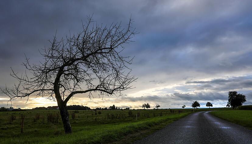 Am Sonntag erwartet der Deutsche Wetterdienst (DWD) vom Westen her Schauer und kurze Gewitter.