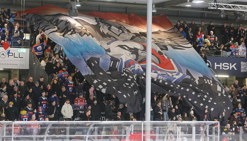 Aus den Heilbronner Falken wurde ein Pleitegeieer.