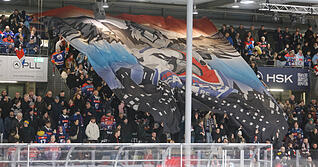 Aus den Heilbronner Falken wurde ein Pleitegeieer.