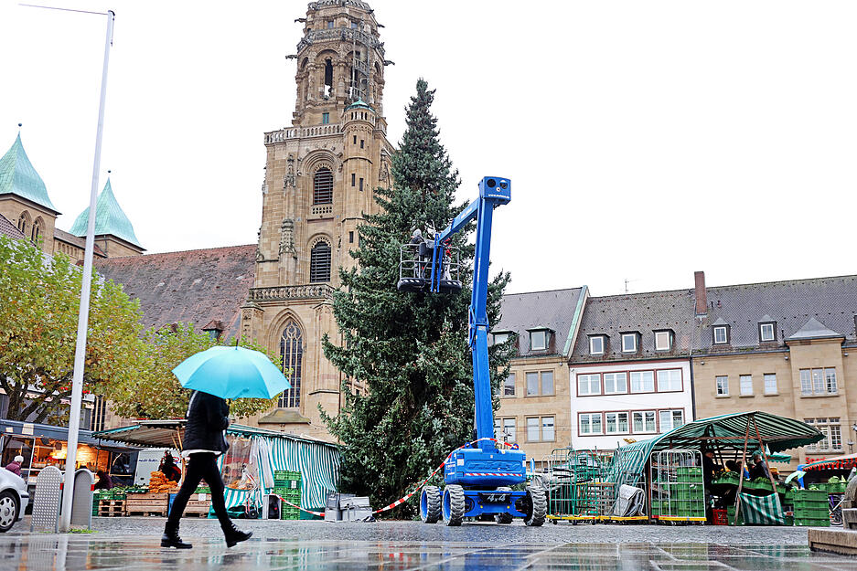 Weihnachtsbaum auf Heilbronner Marktplatz aufgestellt