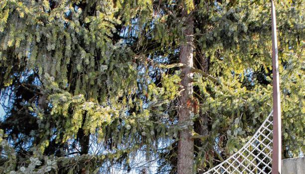 Im Glaubenshaus Libanon in Beilstein leben etwa 100 Mitglieder der Spätregenmission. Der Standort fungiert als Europazentrale.Foto: Archiv/Sawatzki