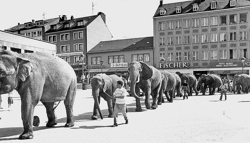 Zirkus-Betreiber werben mit Elefanten für ihre Gastspiele. Im Jahr 1989 laufen welche über den Kiliansplatz in Heilbronn und ziehen die Blicke von Passanten auf sich. Foto: Archiv/Kugler Zirkus-Betreiber werben mit Elefanten für ihre Gastspiele. Im Jahr 1989 laufen welche über den Kiliansplatz in Heilbronn und ziehen die Blicke von Passanten auf sich. Foto: Archiv/Kugler