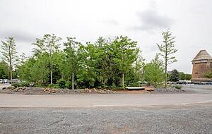Klimawäldchen Theresienwiese. Hier wurde der Asphalt geöffnet, teilt die Stadt mit. Am Heilbronner Wollhaus wurde Erde auf die versiegelte Fläche geschüttet. Klimawäldchen Theresienwiese. Hier wurde der Asphalt geöffnet, teilt die Stadt mit. Am Heilbronner Wollhaus wurde Erde auf die versiegelte Fläche geschüttet.
