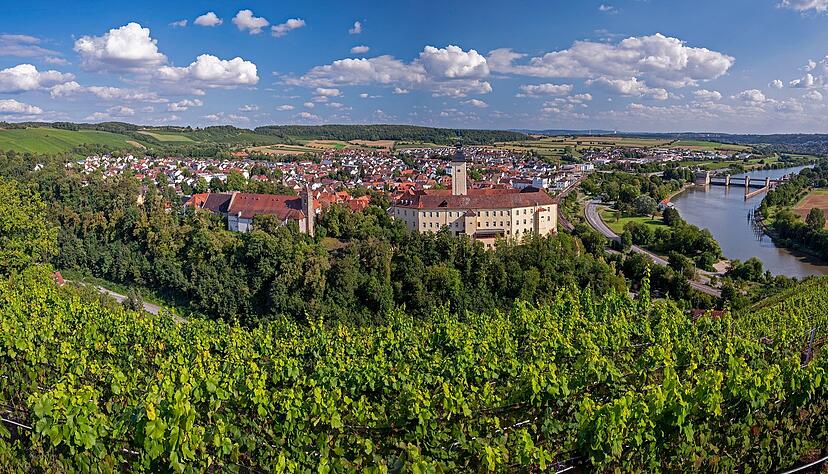 Blick auf Gundelsheim und das Schloss Horneck.