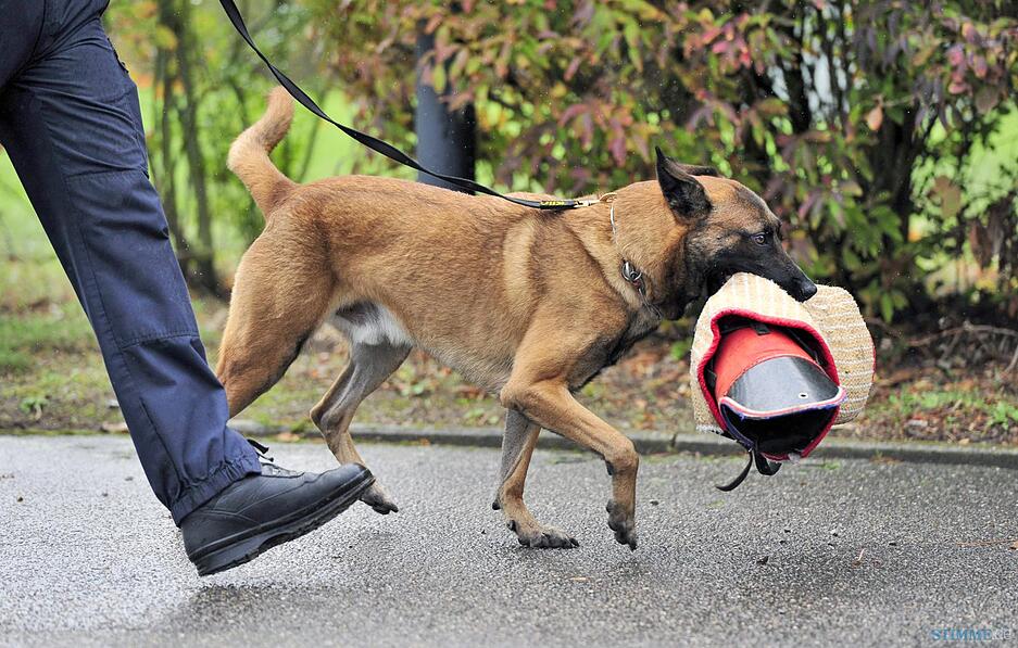 Polizeihundstaffel Offenau Polizeihundstaffel Offenau