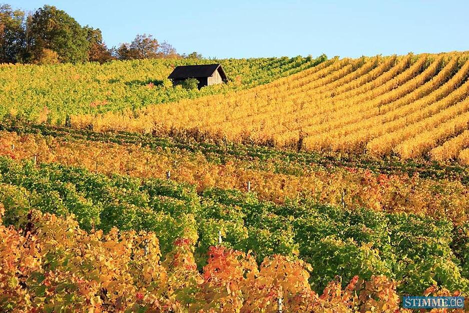 Leserfotos: Herbst in der Region