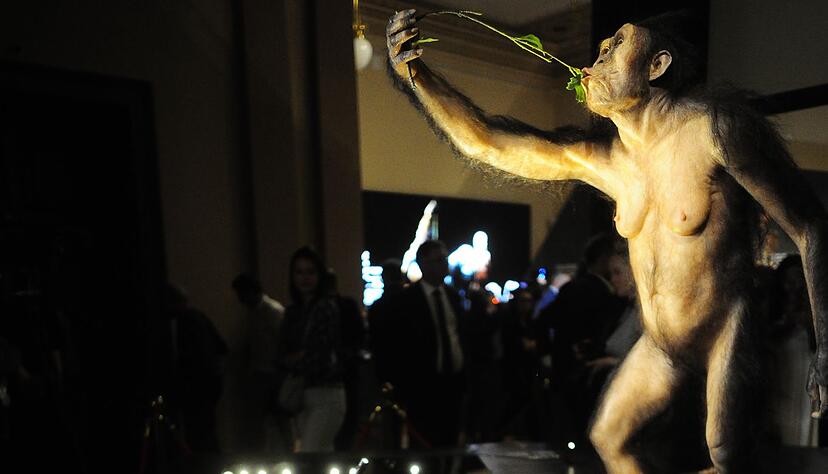 Das Vormenschen-Fossil "Lucy" aus &Auml;thiopien ist erstmals in Europa zu sehen. Die Ausstellung im Nationalmuseum in Prag ist nur bis zum 23. Oktober ge&ouml;ffnet.