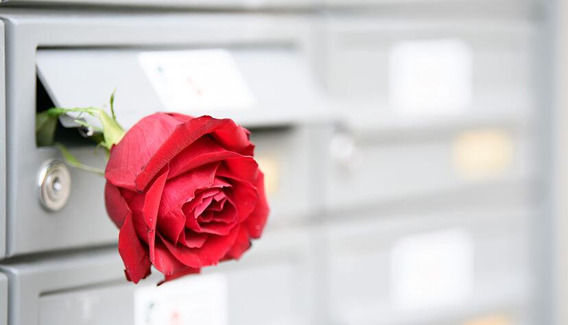 Eine rote Rose zum Valentinstag? Kann sein, muss aber nicht sein. Paare können sich Liebe ganz unterschiedlich zeigen. Eine rote Rose zum Valentinstag? Kann sein, muss aber nicht sein. Paare können sich Liebe ganz unterschiedlich zeigen.