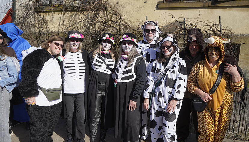 Narren feiern in Gundelsheim: Die besten Bilder vom Faschingsumzug