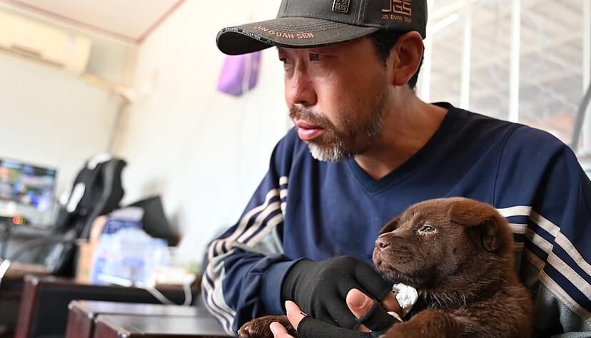 Hunderetter Huzi verarztet einen Welpen, der sich beim Spielen verletzt hat.