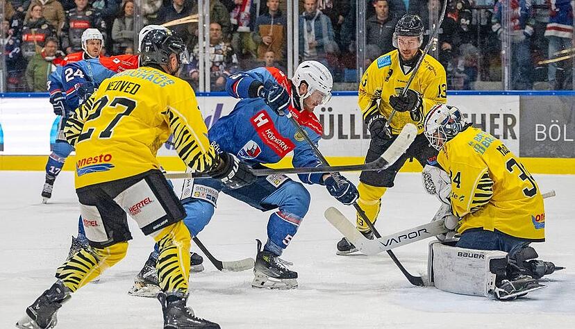 Keine Eingewöhnungszeit: Obwohl in einer neuen Reihe, war Luis Ludin (Mitte) ein steter Unruheherd vor Tiger-Goalie Conner McLeod.
Foto: Christiana Kunz Keine Eingewöhnungszeit: Obwohl in einer neuen Reihe, war Luis Ludin (Mitte) ein steter Unruheherd vor Tiger-Goalie Conner McLeod.
Foto: Christiana Kunz