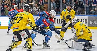 Keine Eingewöhnungszeit: Obwohl in einer neuen Reihe, war Luis Ludin (Mitte) ein steter Unruheherd vor Tiger-Goalie Conner McLeod.
Foto: Christiana Kunz