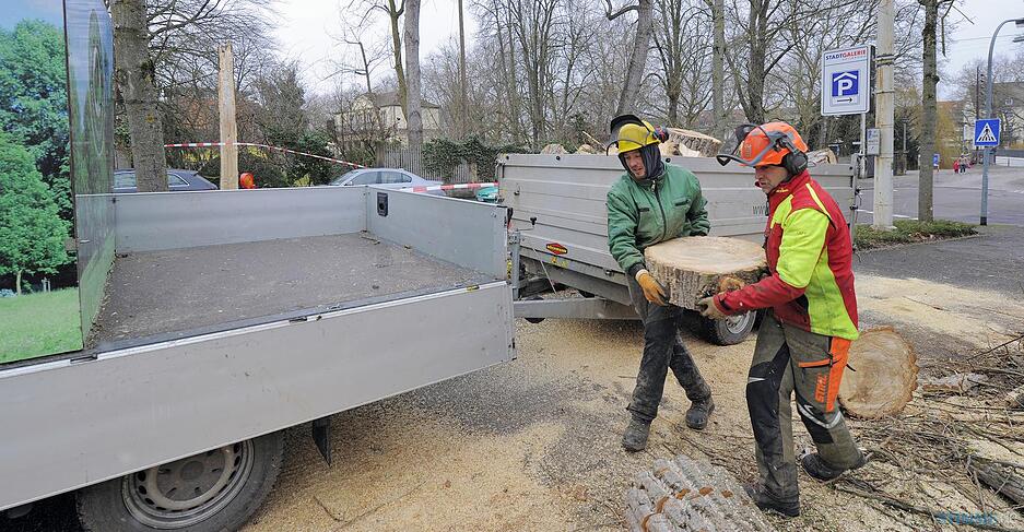 Sturmsch&auml;den in der Region
