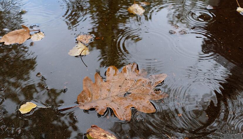 Der Herbst bleibt regnerisch in Baden-Württemberg. Der Herbst bleibt regnerisch in Baden-Württemberg.