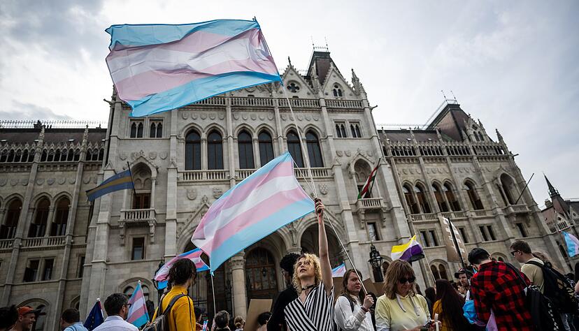 F&uuml;nf waagrecht verlaufende Streifen in den Farben Blau, Rosa und Wei&szlig;: Menschen schwenken bei einer Trans Pride Parade Transgender-Fahnen.