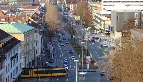 Baumfällung Allee | 28.01.11