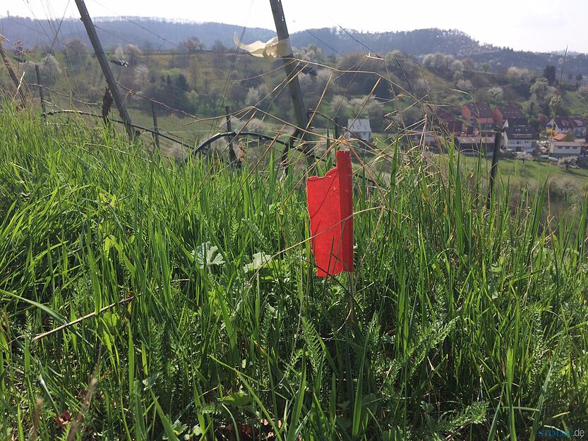 Tötungsdelikt vor Löwensteiner Tagungsstätte | 30.03.