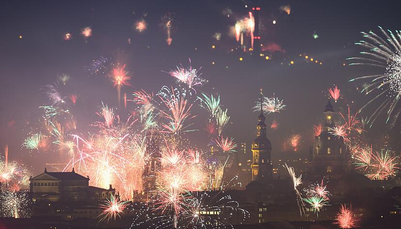 Die Silvesternacht bedeutet f&uuml;r viele Tiere Stress pur.