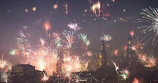 Die Silvesternacht bedeutet f&uuml;r viele Tiere Stress pur.