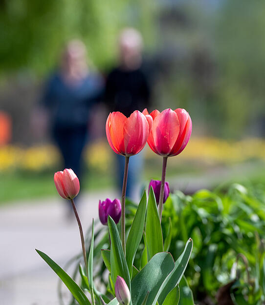 Osterspaziergang durch Heilbronn