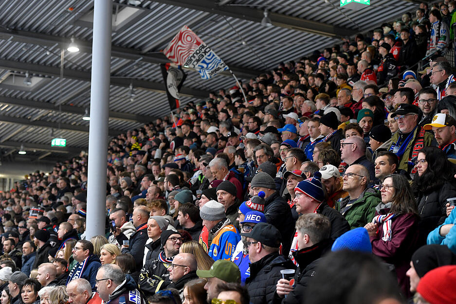 Zahlreiche Falken-Fans hoffen auf den Aufstieg in die DEL2. Zahlreiche Falken-Fans hoffen auf den Aufstieg in die DEL2.