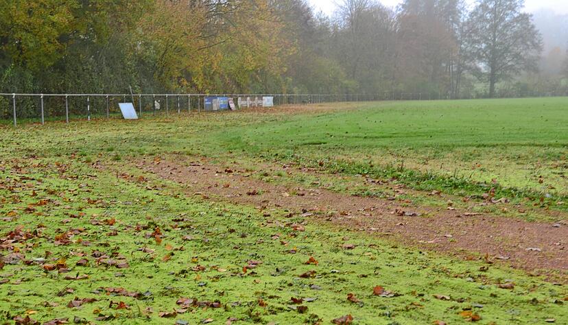 Wo fr&uuml;her eine Laufbahn war, w&auml;chst heute Moos. Kein Wunder, dass der TSV Weinsberg auf der Anlage schon seit langem nicht mehr trainieren kann. Das soll sich &auml;ndern.
Foto: Beate Windisch
