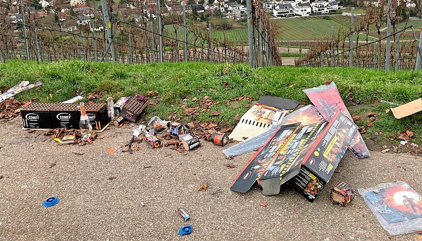 Vermüllung auf dem Heilbronner Wartberg am Montag nach dem Silvesterwochenende
Fotos: Adrian Hoffmann