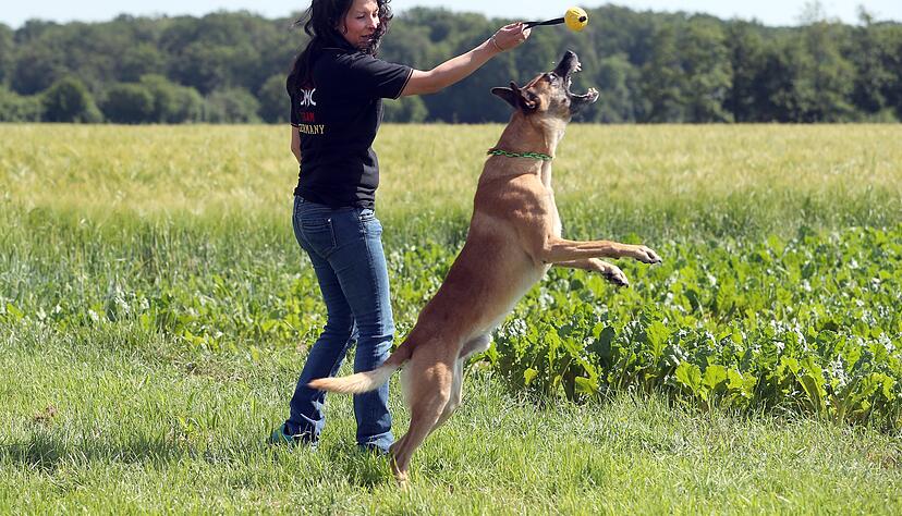 Katharina Rohr beim Training mit Ätsch am Ortsrand von Oedheim: Auf das Kommando "Pack" hin versucht Ätsch, den Ball zu schnappen. Foto: Andreas Veigel