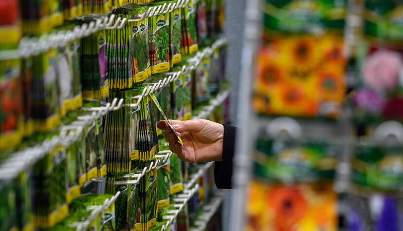 Die Qual der Wahl: Sament&uuml;tchen verlocken, doch nicht alles passt am Ende in den Garten.