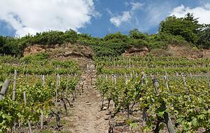 Nagelfluhfelsen bei Klingenberg: Ein Schild könnte auf diese geologische Besonderheit aufmerksam machen. Foto: Bärbel Kistner Nagelfluhfelsen bei Klingenberg: Ein Schild könnte auf diese geologische Besonderheit aufmerksam machen. Foto: Bärbel Kistner