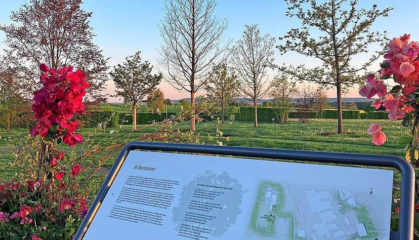 Eine Schautafel unterhalb des Carmen-Würth-Forums liefert Hinweise zum neuen Arboretum, das einmal den gesamten Würth-Campus einrahmen soll. Eine Schautafel unterhalb des Carmen-Würth-Forums liefert Hinweise zum neuen Arboretum, das einmal den gesamten Würth-Campus einrahmen soll.