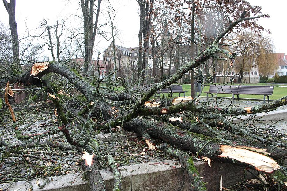 Januar: Das Sturmtief Burglind beschäftigt zahlreiche Einsatzkräfte im Hohenlohekreis. Im Öhringer Hofgarten entwurzelt der Wind eine morsche Kastanie, die auf das Kneipp-Becken stürzt. Die Baumkrone zerschellt in tausend Teile.