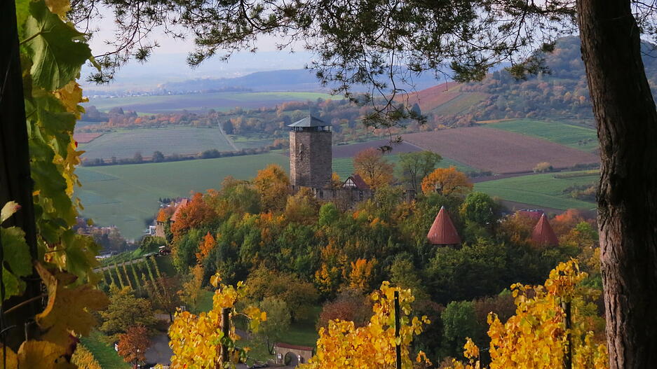 Rund um die Burg Hohenbeilstein war meine.stimme-Heimatreporter Ulrich Rank unterwegs und blickt hier die steilen Weinberge hinunter auf den Aussichtspunkt über Beilstein.