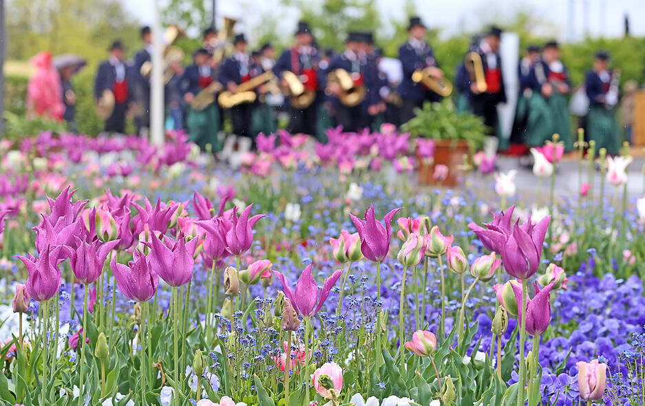 Blasmusik im Regen auf der Buga