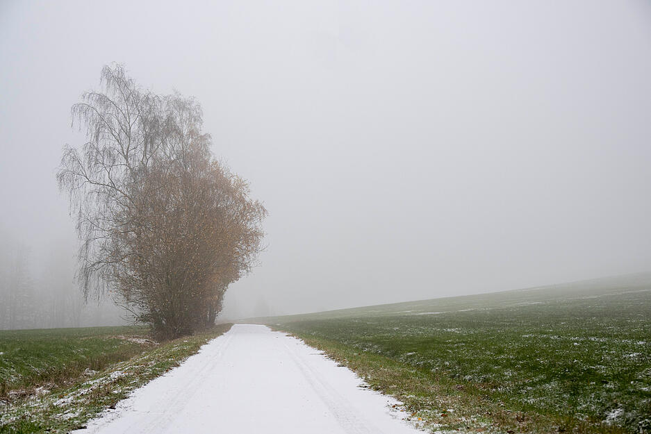 Schneebilder, Schlittenfahren auf dem Stocksberg noch nicht möglich