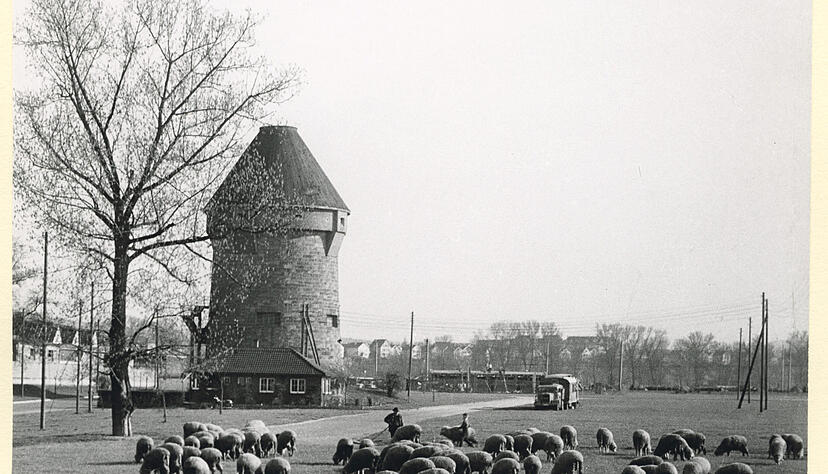 Zusammengestellt von Archiv und Dokumentation der Heilbronner Stimme 
Der von den Nazis 1940 errichtete Hochbunker mit Flak-Stützpunkt steht auf der Heilbronner Theresienwiese. Bis zur Umbenennung in Theresienturm 2016 hieß er General-Wever-Turm. Er wurde nach dem früheren Generalstabschef der Luftwaffe, Walther Wever, benannt. Ansicht aus dem Jahr 1959.