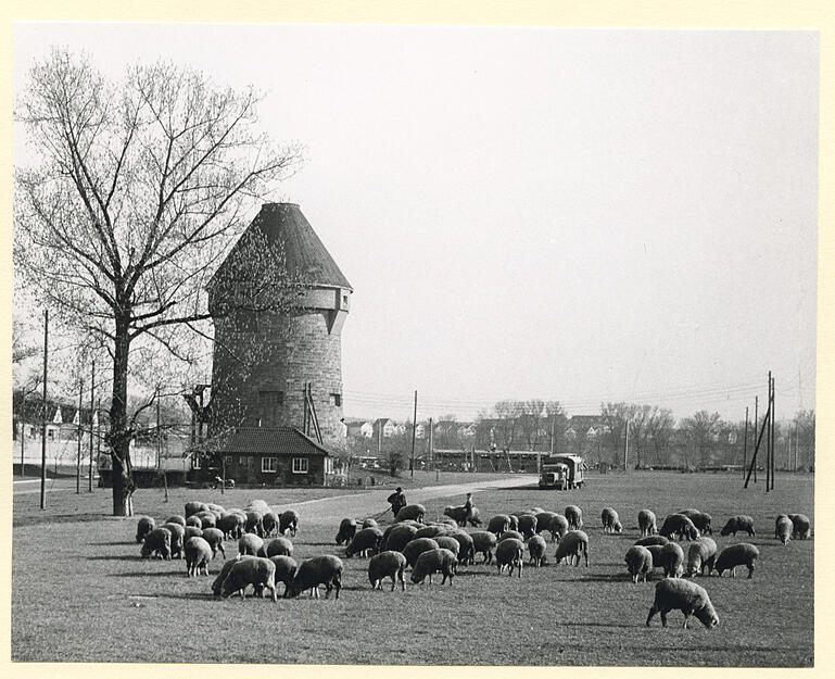 Zusammengestellt von Archiv und Dokumentation der Heilbronner Stimme 
Der von den Nazis 1940 errichtete Hochbunker mit Flak-Stützpunkt steht auf der Heilbronner Theresienwiese. Bis zur Umbenennung in Theresienturm 2016 hieß er General-Wever-Turm. Er wurde nach dem früheren Generalstabschef der Luftwaffe, Walther Wever, benannt. Ansicht aus dem Jahr 1959.